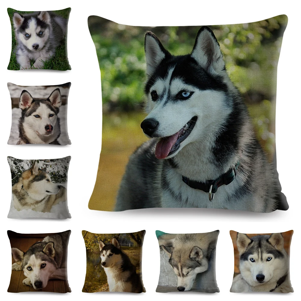 

Siberian Husky Pillow Case Decor Cute Pet Dog Animal Cushion Cover for Sofa Home Chidren Room Polyester Pillowcase 45*45cm