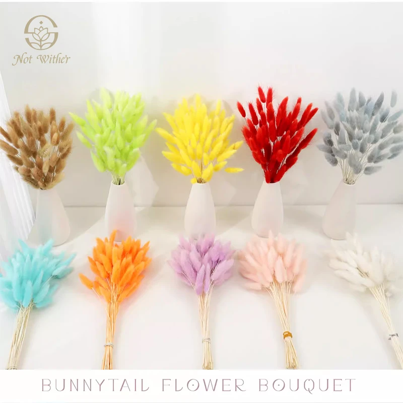 

60PCS Nature Dried Flowers Bunny Tails Grass Wedding Party Decor Tables Decoration Accessories Boho Home Decor Artificial Flower