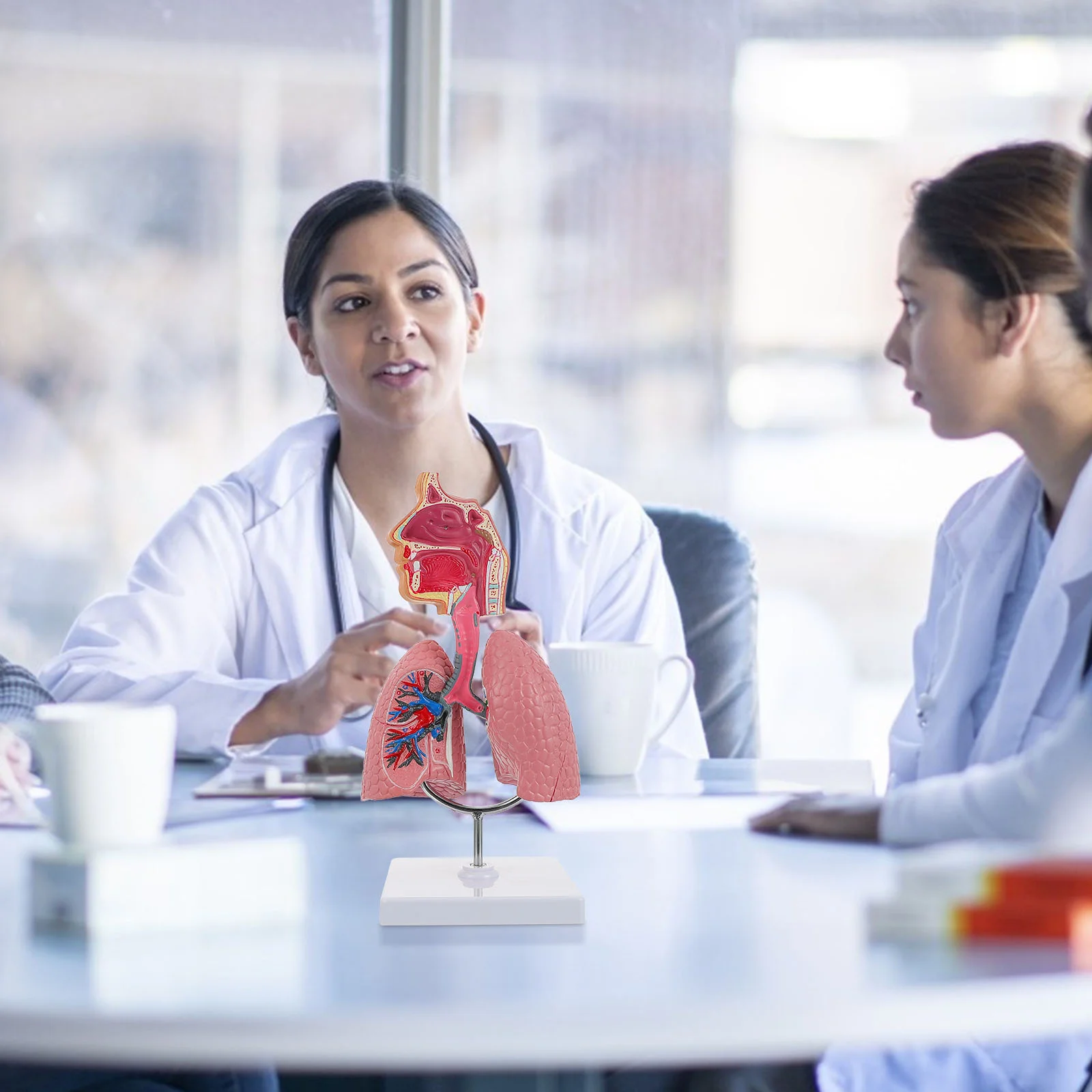 Рисунок 4 - Модель анатомии дыхания легких