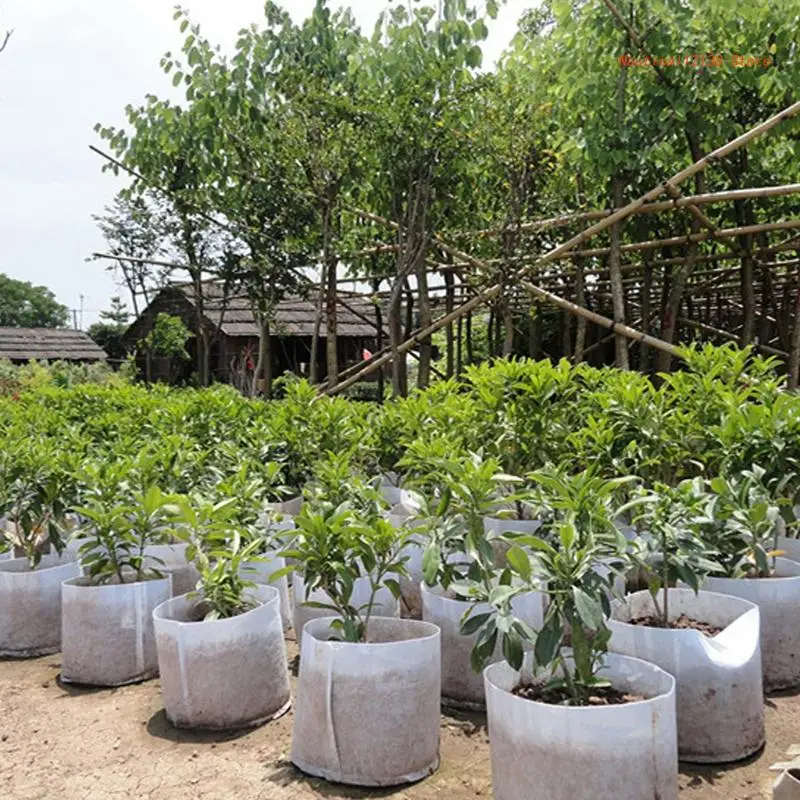 

Нетканый биоразлагаемый контейнер для выращивания растений