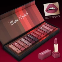 12 color vintage velvet lipstick set matte pigmented waterproof lasting lip makeup silky touch charming cosmetics bulk lipstick
