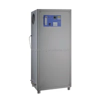 convenient large oxygen source ozone generator for swimming
