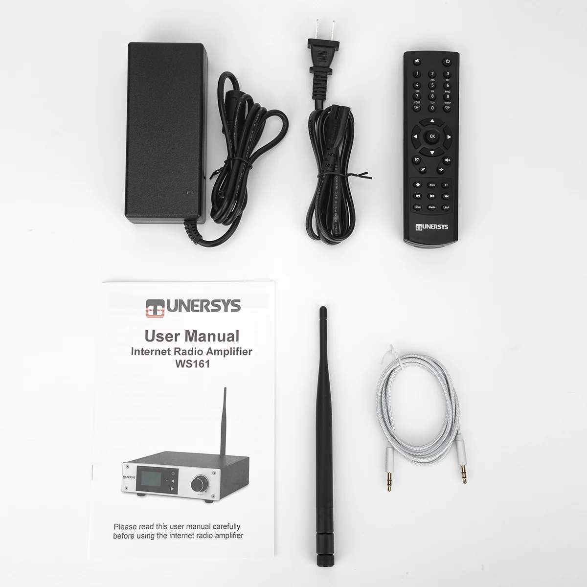 Интернет-радио усилитель 100 Вт Bluetooth для книжной полки динамик с наушниками Amp WiFi