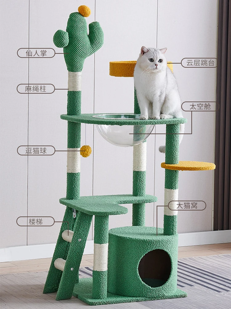 Рамка для скалолазания С КАКТУСОМ гнездо кошек интегрированный космический