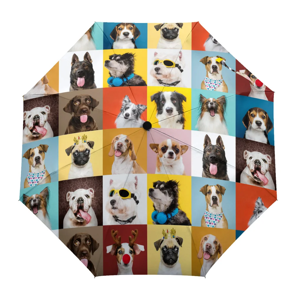 

Трискладной зонт от солнца и дождя для французского бульдога