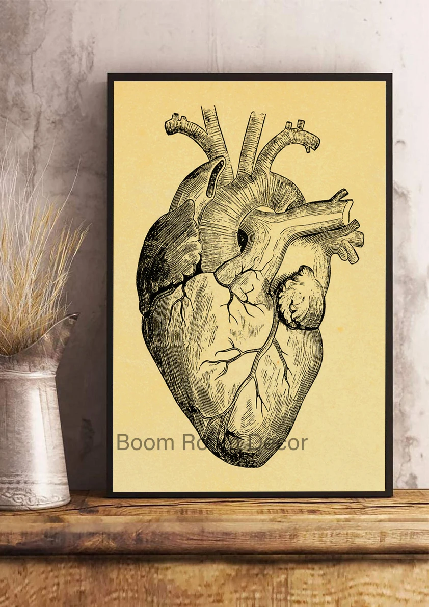 Анатомия и физиология плакат на крафт-бумаге карл густав врангель книга о лошади настольная книга для каждого владельца и любителя том 1 анатомия и физиология лоша