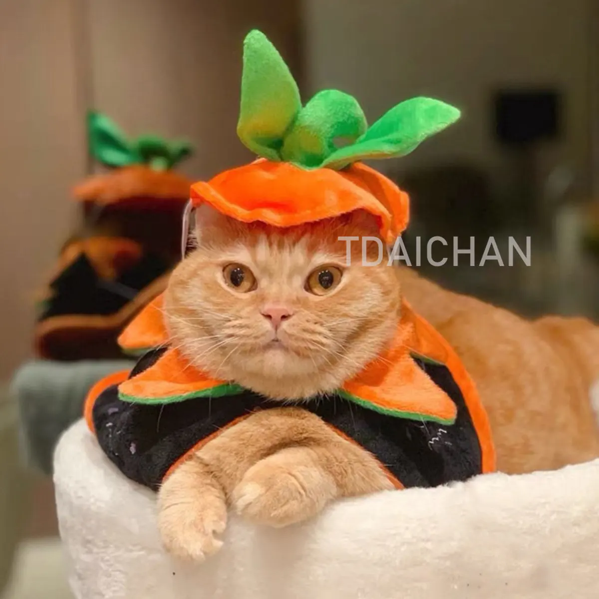 

Накидка для домашних животных на Хэллоуин, Двусторонняя одежда, накидка для вечеринки, шляпа, костюмы для кошек и собак, аксессуары, Декор, ф...