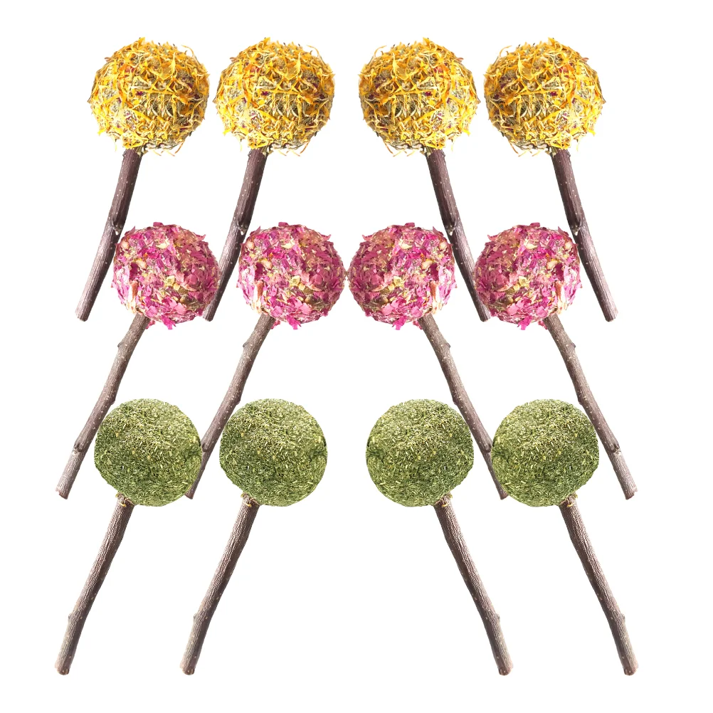 12 шт. хомяк прорезывание зубов домашнее животное кролик закуски морская свинка