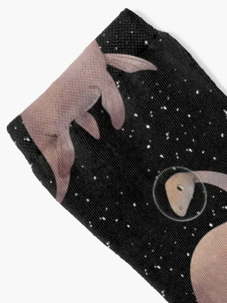 Милые акварельные плезиозавры в космосе носки рождественские подарки