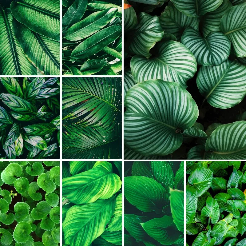 

Modern 5D DIY Diamond Painting Green Fresh Leaf Plant Mosaic Embroidery Cross Stitch Wall Art Home Living Room Decoration