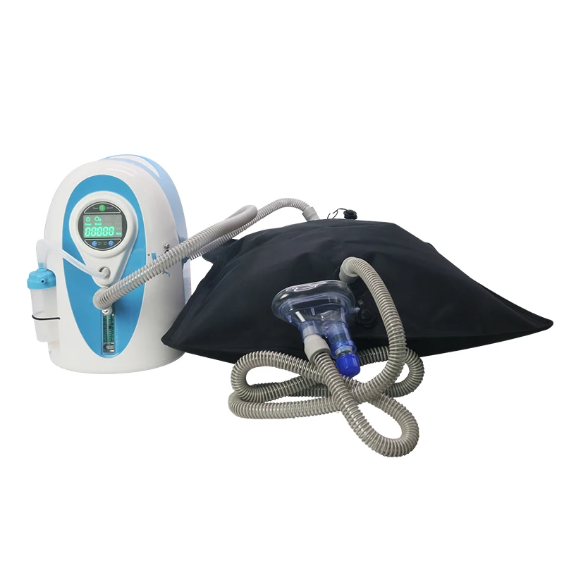 

Mobile hypoxic generator for hypoxic training at home