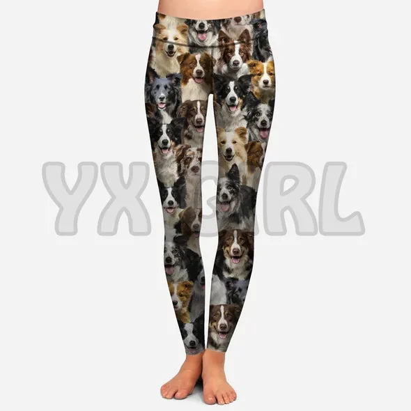 You Will Have A Bunch Of Border Collies - Leggings  3D Printed Leggings Sexy Elastic Female Skinny Leggings Gothic Yoga Leggings