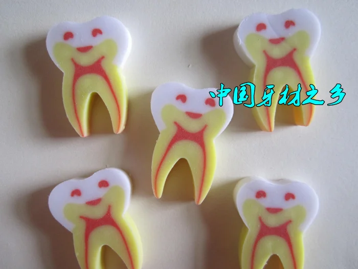 Dentistry material Teeth model eraser accessories Denture model 10pcs free shipping