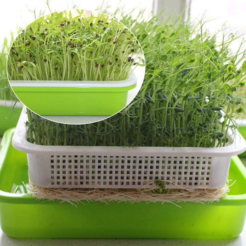 

Sprouting Dish Drawer Plastic Hydroculture Flower Basket Flower Plant Garden Nursery Pot Tauge Double-Layer Dishes Plate Seeding