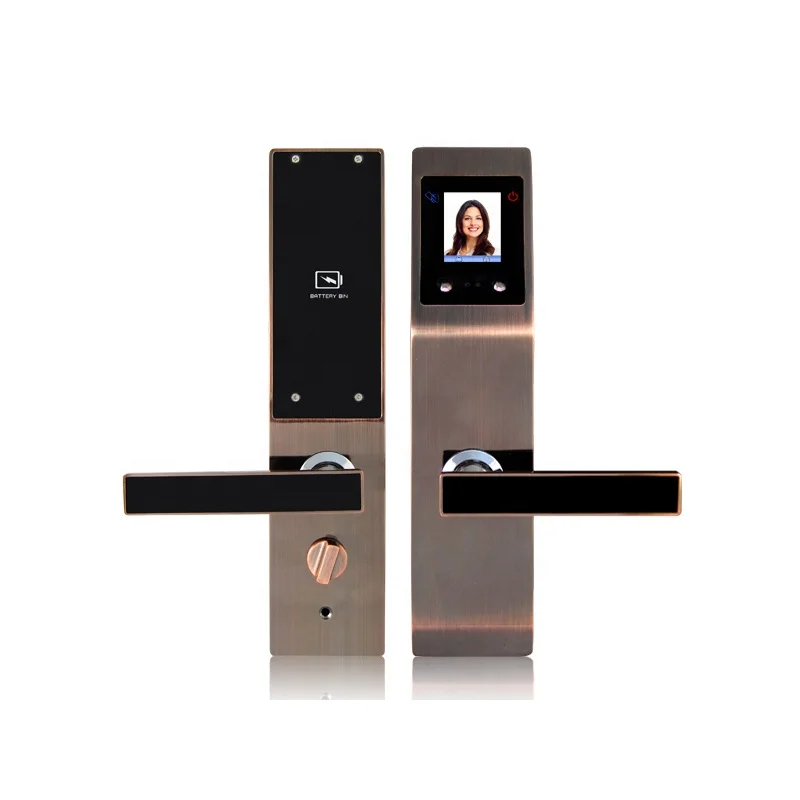 China standard Anti-Theft Mortise Palm verfication face recognition biometric door lock enlarge