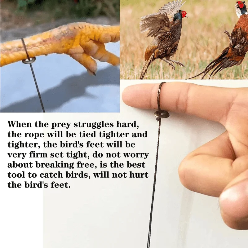 Новые инструменты для предотвращения птиц сети пруда рыболовные ловушки урожая