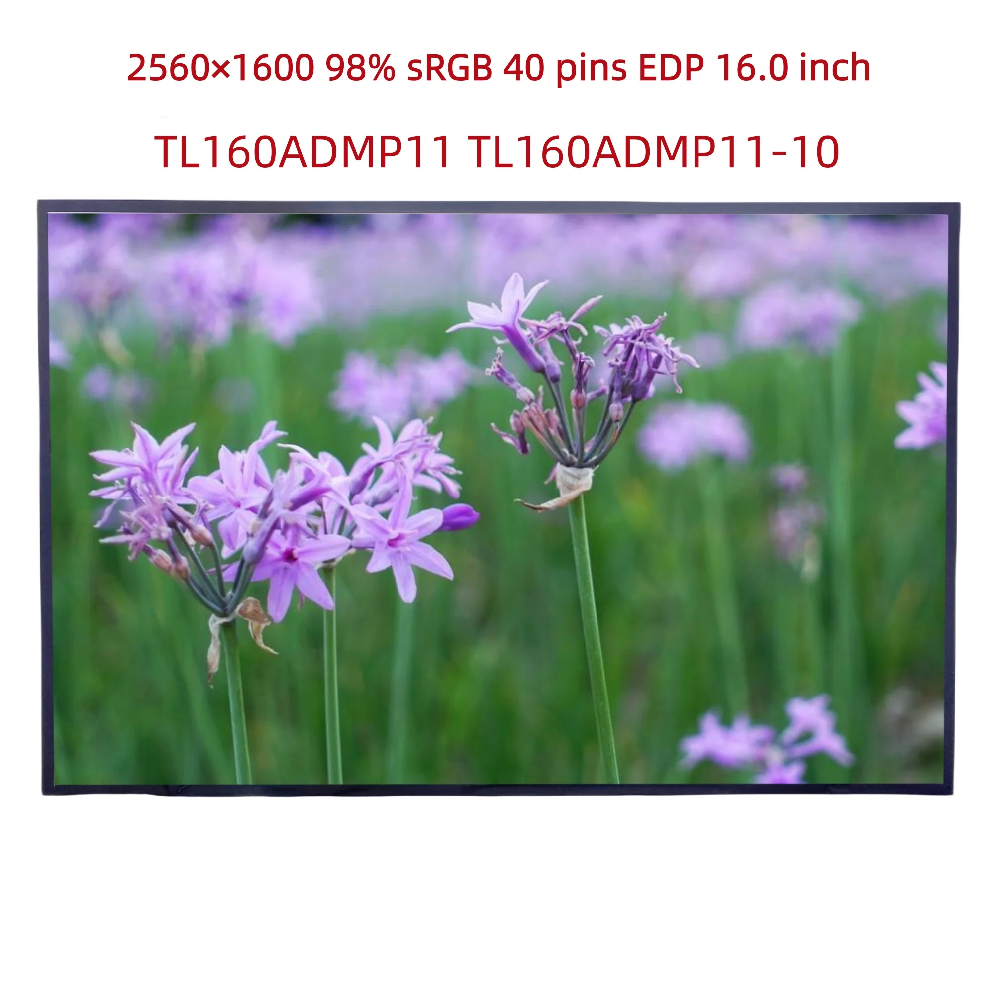 Фото TL160ADMP11 TL160ADMP11-10 2560×1600 98% sRGB 40 контактов EDP 16,0-дюймовый ЖК-экран для ноутбука, заменяемая панель дисплея, матрица №1