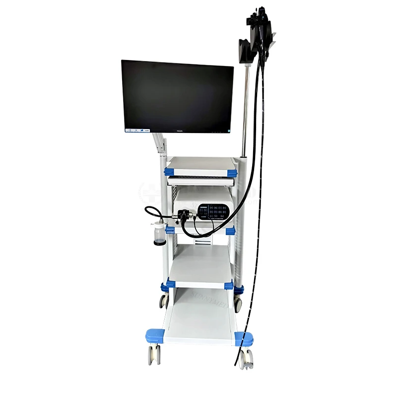 

Sy-P033 Color CCD Vet Video Endoscope for Sale