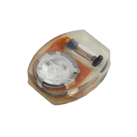 Светодиодные ночники для обуви, 10 шт.