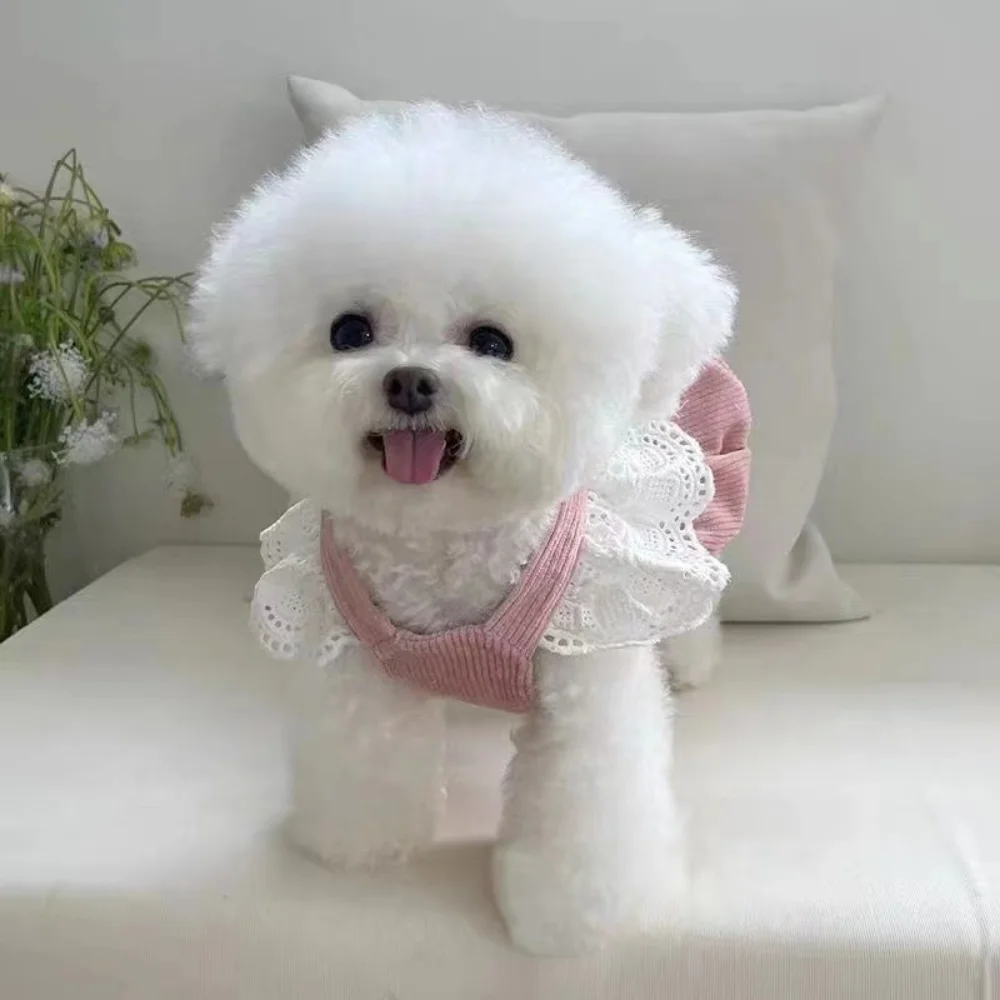 Small Dog Princess Dress Pet Bowknot Skirt Autumn Winter Sweet Sweater Cat Fashion Warm Coat Puppy Harness Chihuahua Yorkshire images - 6