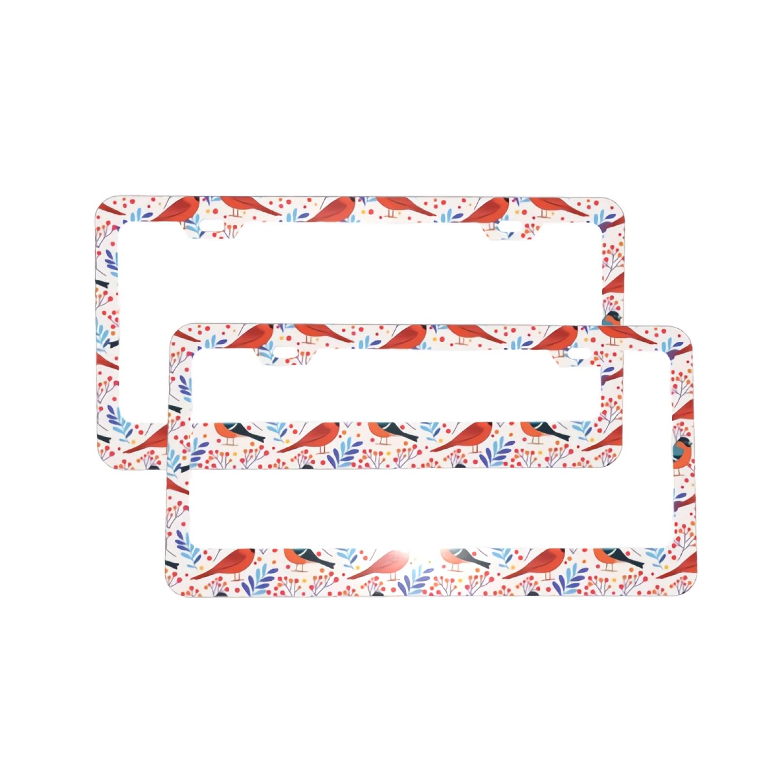 

2 PCS License Plate Frame Colorful Botanical Birds Car Tag Cover Aluminum Holder Auto Car for Us Standard 2 Hole and Screws