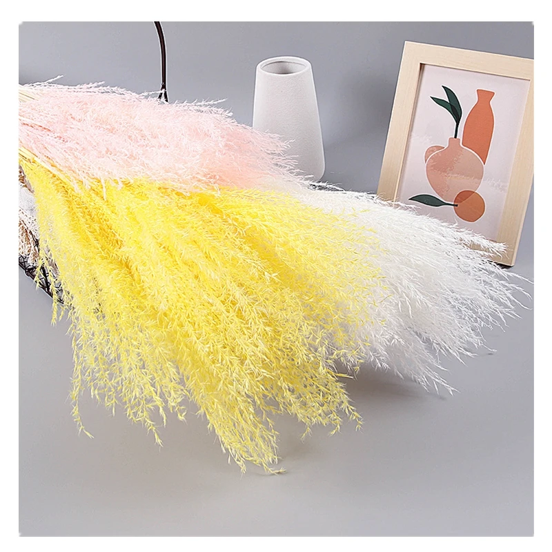 

40-45cm/10pcs Dried Flowers Pampas Grass Decoration Real Plantas Pampa Living Room Boho Decor Centre De Table Mariage