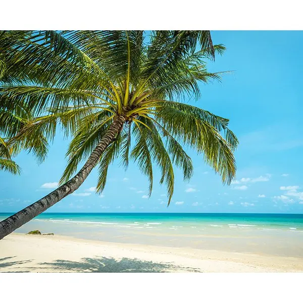 

Unpasted Non Wall Mural, 94-in by 118-in Kpop photocard holder Photocard holder Photo album Classeur photocards kpop Photo card