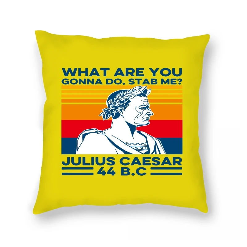 

Pillow Case hot sale What are you gonna do Stab me Julius Caesar 44 BC Vintage - bigger size