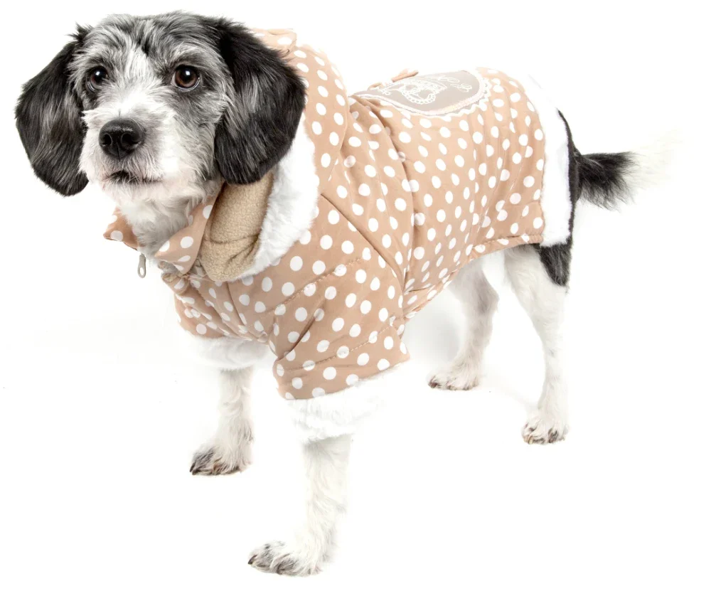 

Polka-Dot Couture-Bow Pet Hoodie Sweater