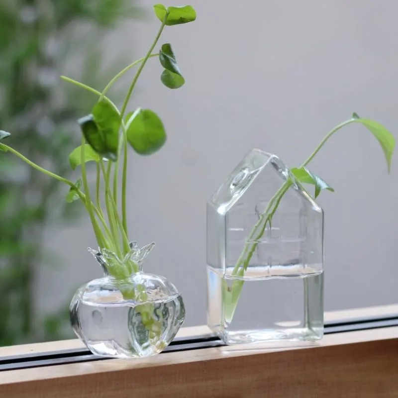 

Hydroponic Plant Glass Bottle Home Decor Flower Vase Container Small House Art Pomegranate Glassware Living Room Decoration