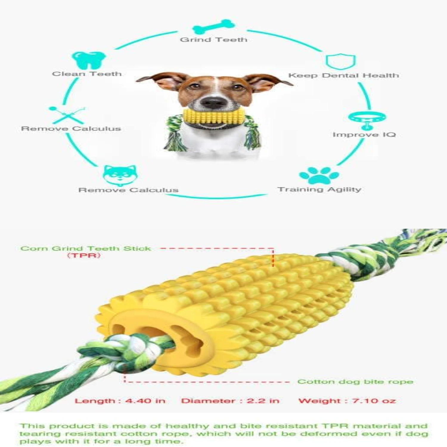 Роскошные закуски для гурманов от Fe-оцените ваши вкусные бутоны с нашими