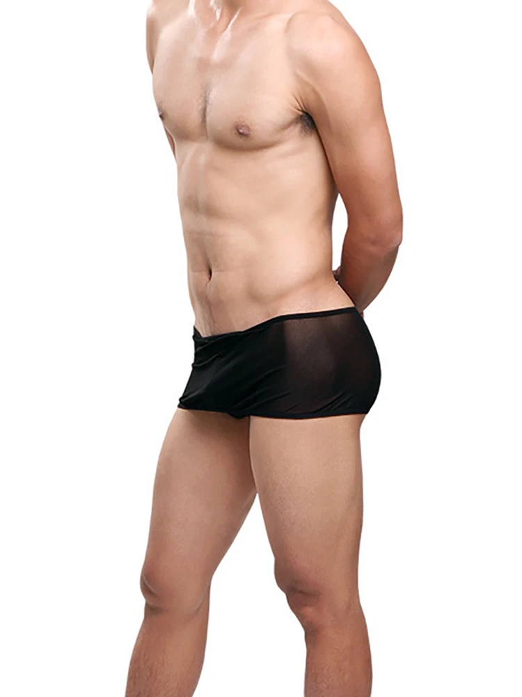 Transparent Gauze Skirt Temptation Sexy Low Waist T Panties Home Male Funny Underwear Pouch Inside Ropa Interior Hombre Clothing