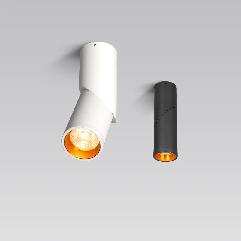 

LED Anti-glare Spotlights Home Decoration Adjustable Living Room Background Wall Hallway Daylights surface Mounted light 12W