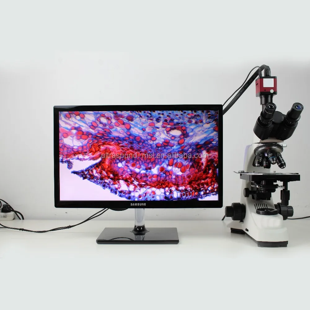 

Clinic laboratory cheap biological Trinocular Microscope with digital camera for sale MSL-500T