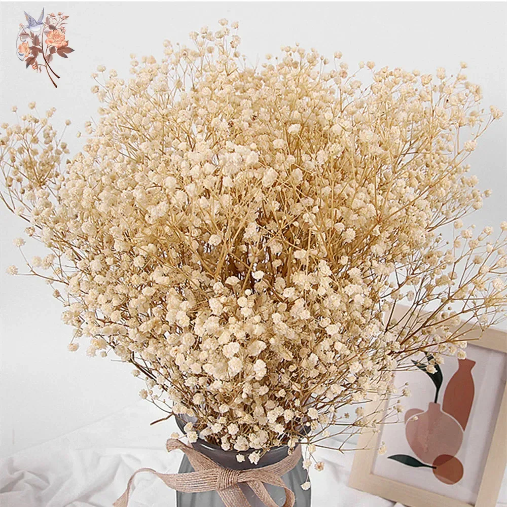 מאגר הקופונים הסודי של עליאקספרס! 300+ קופונים למוצרים מבוקשים! 1600 S6398a74e09054ad9a80522d97fd8eb76f