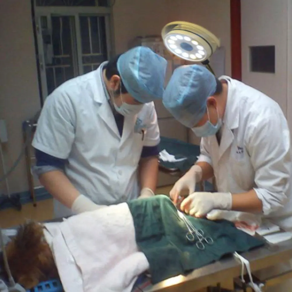 Ziekenhuisapparatuur Mobiele Medische Theaterlamp Staande Oper Ary Chirurgische Lichtprijs