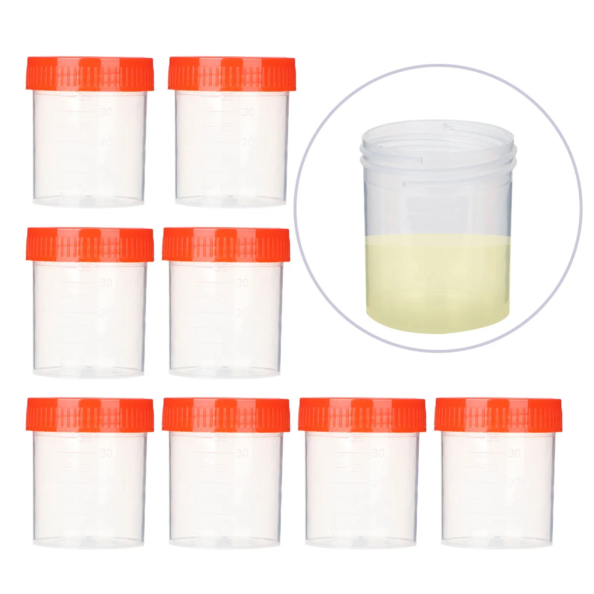 

50 Pcs/1 Containers Lids Ovulation Test Cup Cup Lid Test Cup Clear Container Lid Urine Tube Collector