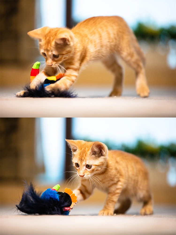 

Cat Toy Simulation Bird Mouse Sound to Relieve Boredom Cat Self-hi Artifact Plush Teasing Cat Stick