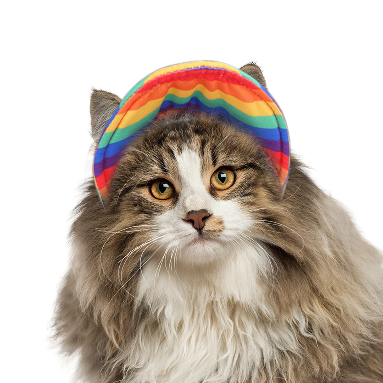 

Dog Baseball Hat Dog Sun Hat With Brim Outdoor Sports Pet Sun Protection Baseball Cap With Ear Holes For Cats Dogs Colorful S M