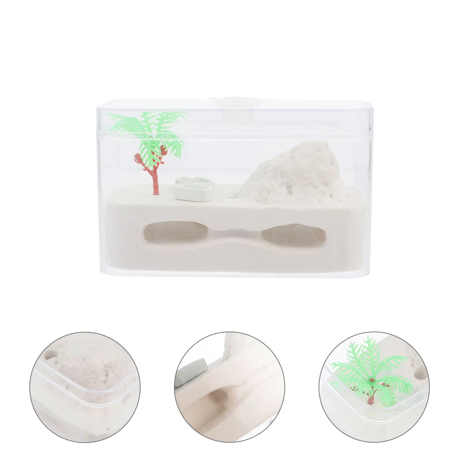

Ant Box House Farmecological Insect Behavior Castle Educationalsystem Feeding Formicarium Kids Display Observe Tower Habitathome