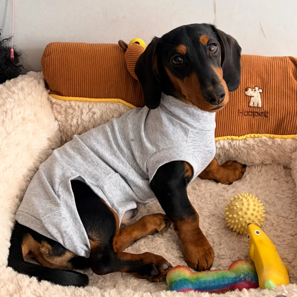 Фото Одежда для собак пород Wiener Dog: Весенне-летняя пижама из 100% хлопка на 4 лапах для миниатюрных такс, послеоперационный костюм для такс. №1