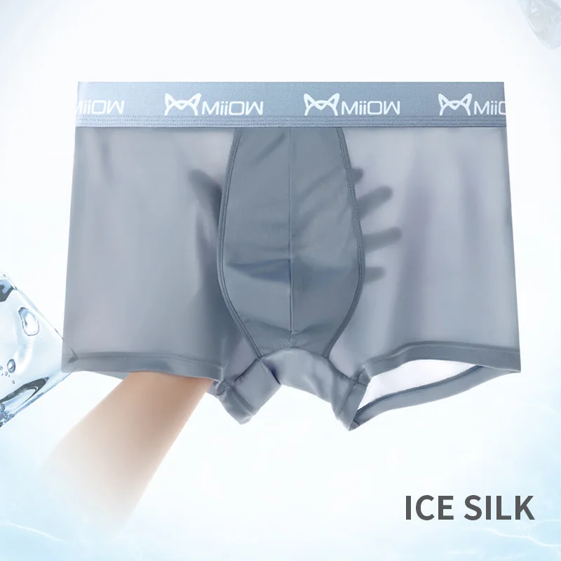 MiiOW 3Pcs Sexy Men Underwear Boxer Underpants Comfort Polyester Transparent Trunks Men's Panties Breathable Bxoers For Men New