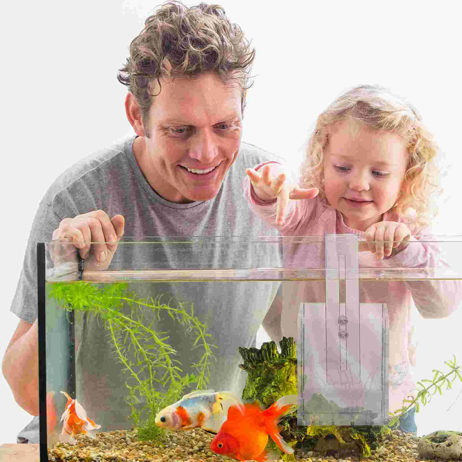 

Aquarium Cup Planter Holder Tank Water Aquatic Suction Cups Pot Acrylic Decor Storage Transparent Planting Pots Red Live Hanging