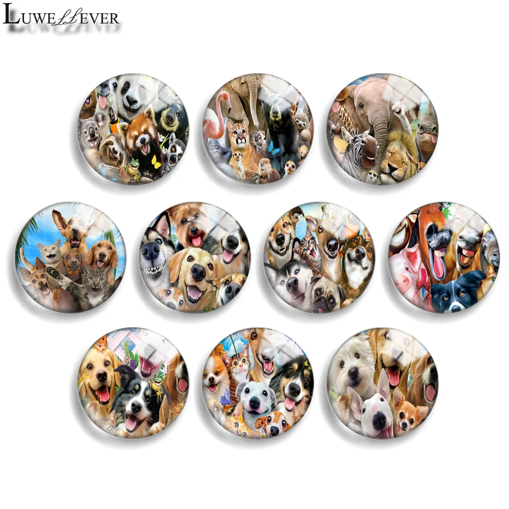 

12mm 10mm 20mm 25mm 30mm 40mm 778 Animal Mix Round Glass Cabochon Jewelry Finding 18mm Snap Button Charm Bracelet