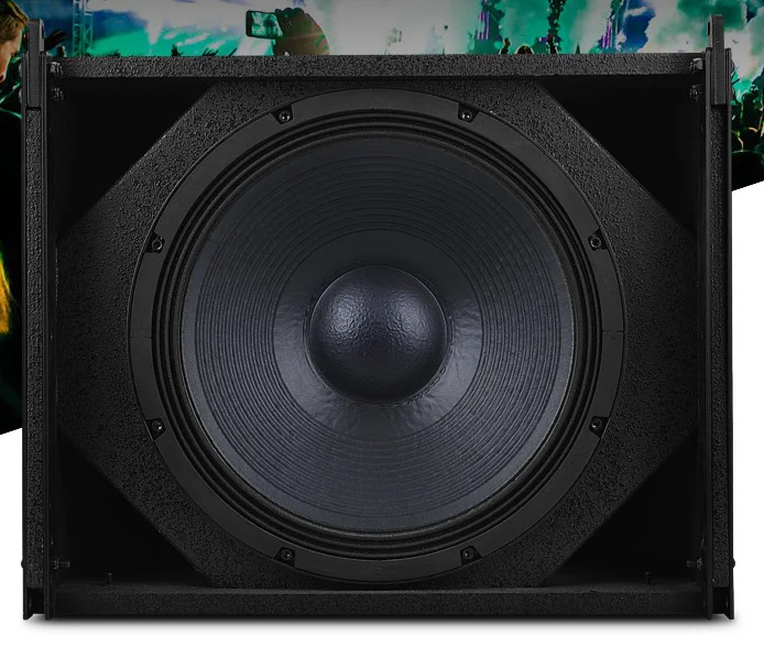 Рисунок 5 - Профессиональный пассивный 10-дюймовый