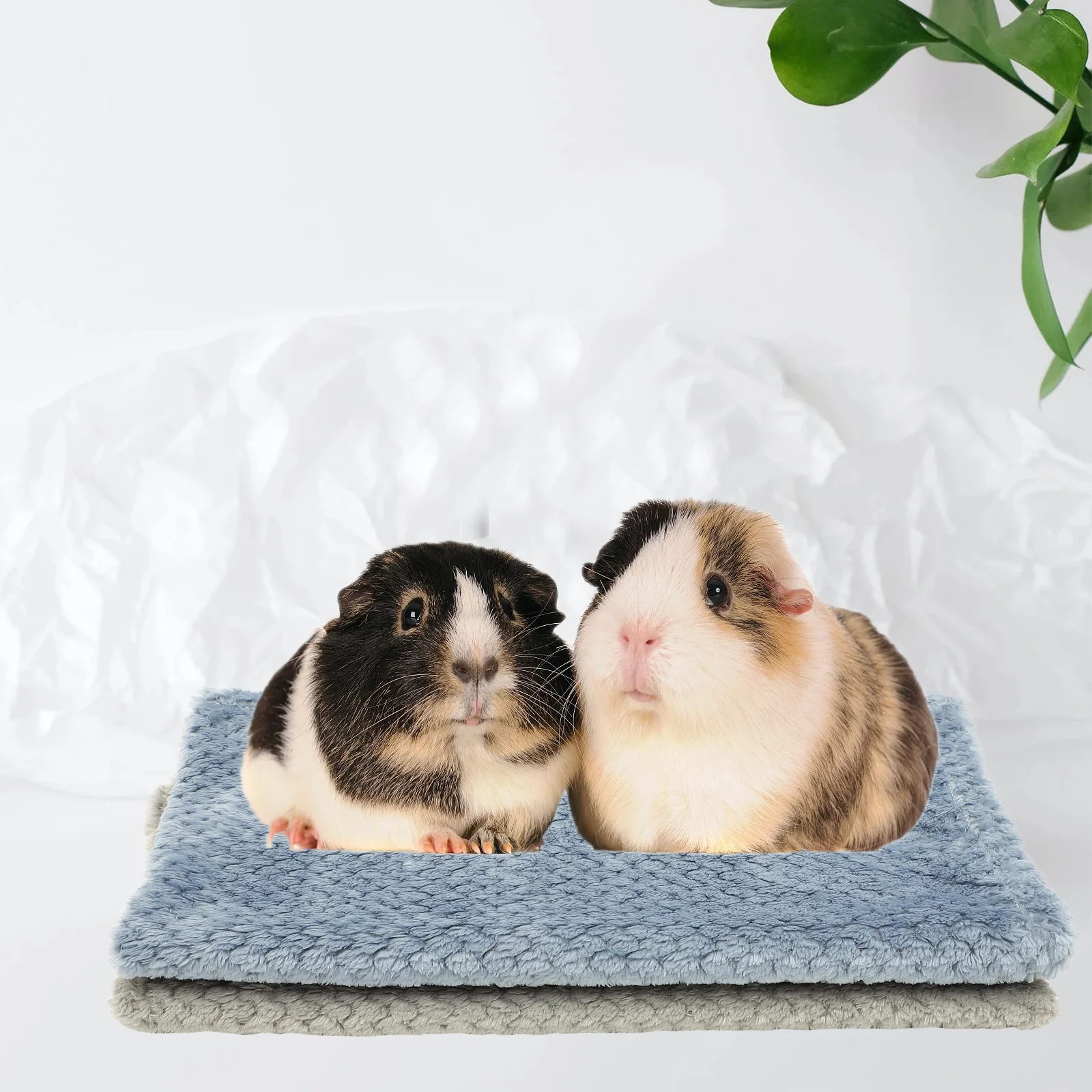 Одеяло с морской свинкой домашнее одеяло кроликом клетка полотенце одеяла для