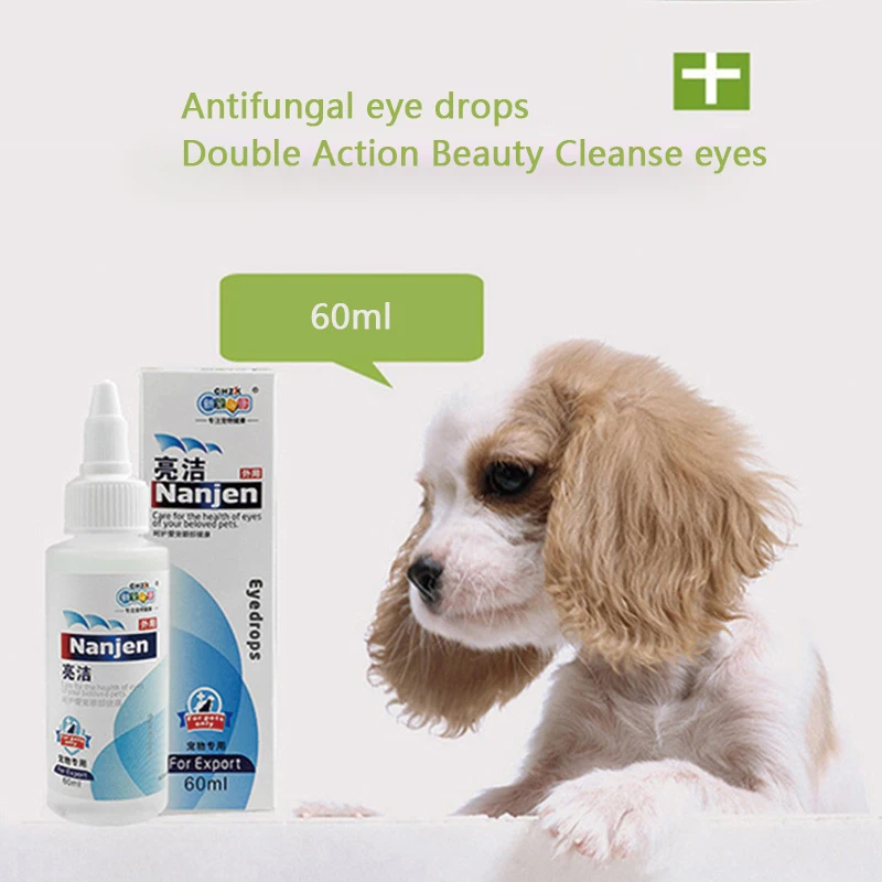 

Pet Eye Drops Older Dogs, Cats, Dogs Eye Cataracts Cornea Eye Conjunctiva Whitening Aging VT Phak