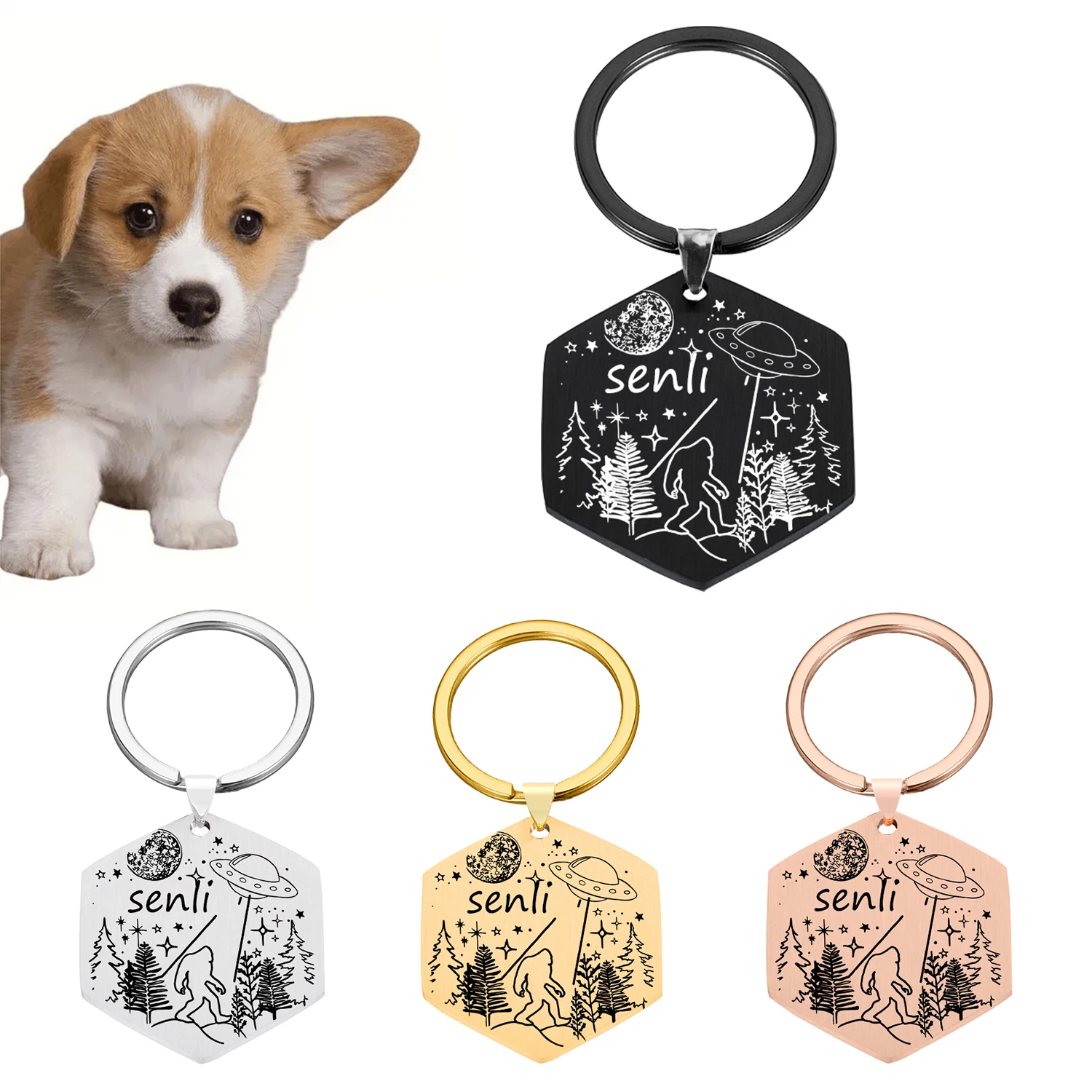 

Personalized Cat Dog ID Tag Customized Hexagon Puppy Collar Free Engraved Anti-lost Name Dog Accessories Stainless Steel Pendant