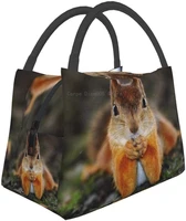 portable insulated lunch bag funny thinking squirrel waterproof tote bento bag for office school hiking beach picnic fishing