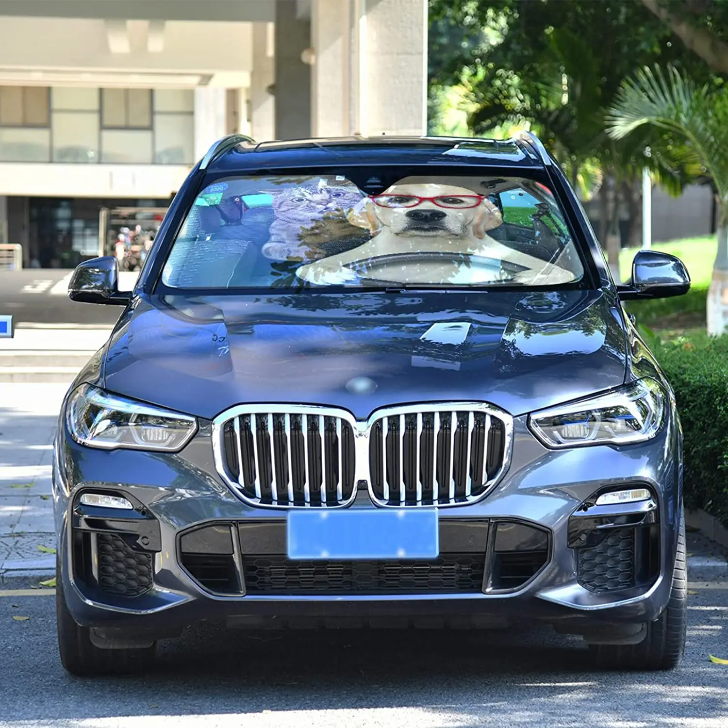 Рисунок 4 - Солнцезащитный козырек на лобовое стекло автомобиля